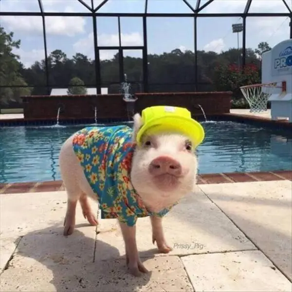 viernes