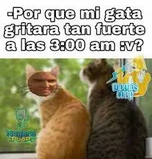 la momia