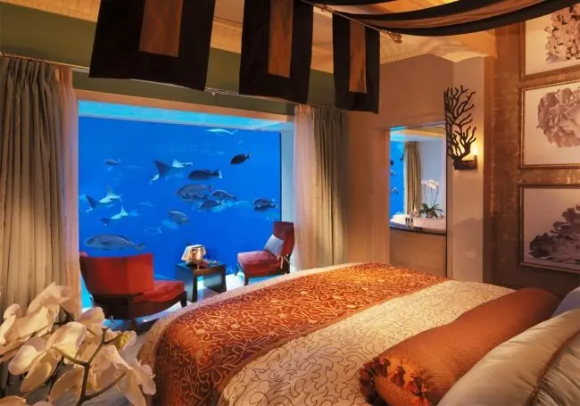 cosas increibles en dubai