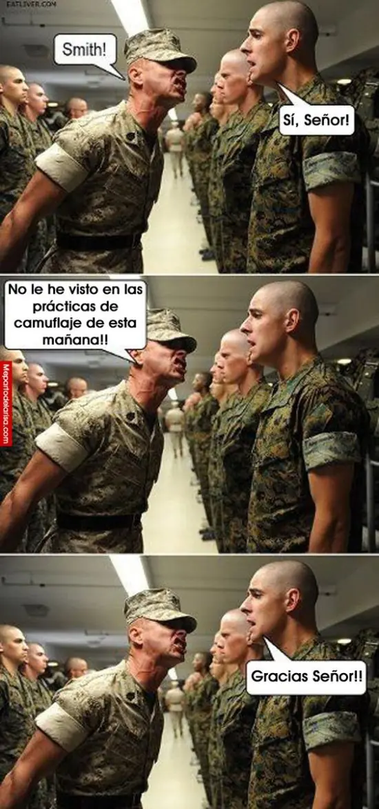 Gifs