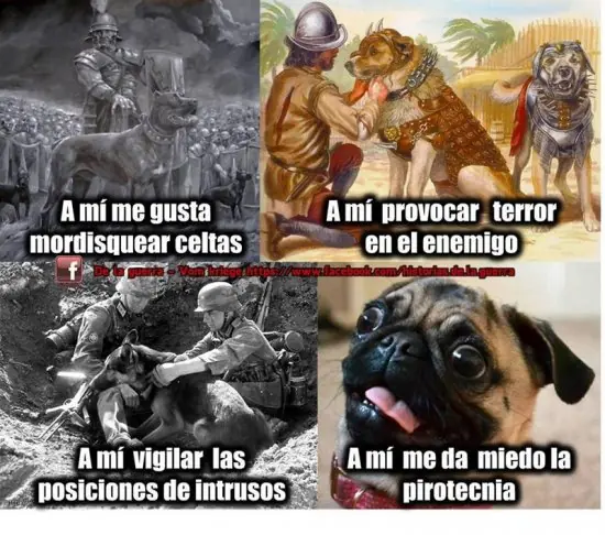 Imagenes para esta tarde y algo mas