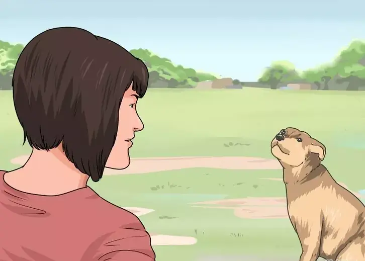 hablarle a las mascotas