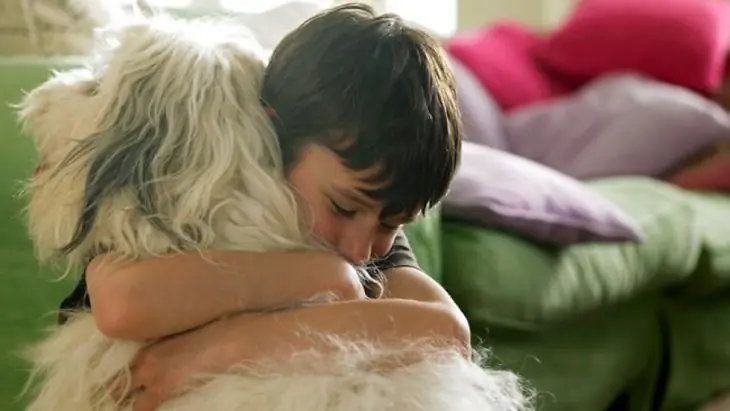 21 razones por las que estás agradecido de tener un perro
