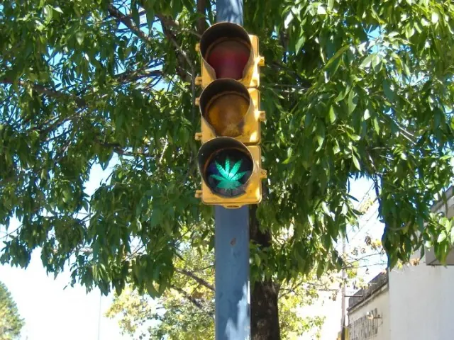 EU reconoce que la Cannabis mata las células cancerígenas EU reconoce que la Cannabis mata las células cancerígenas