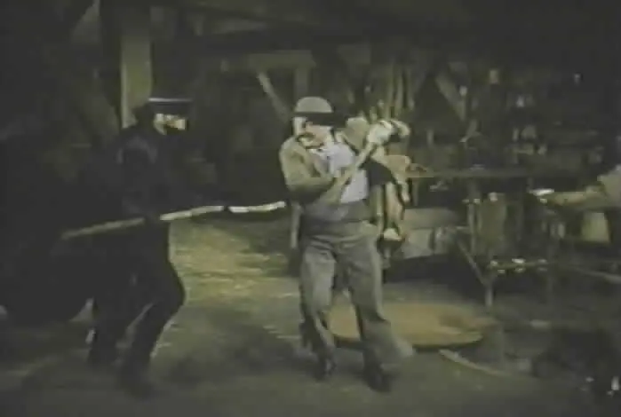 el zorro