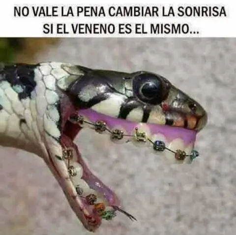 imagenes divertidas