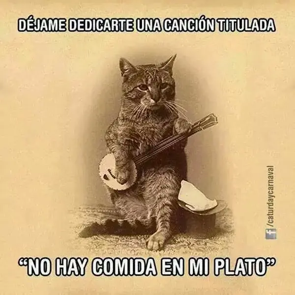 humor de Miercoles