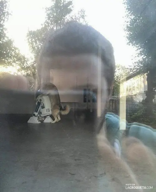 imagenes divertidas