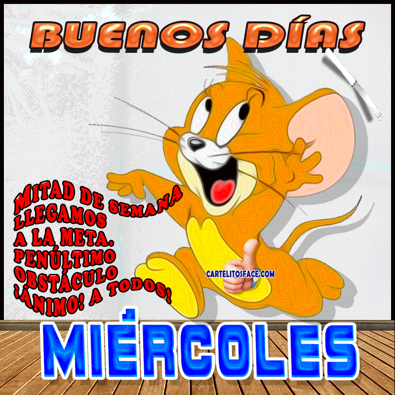 imagenes divertidas