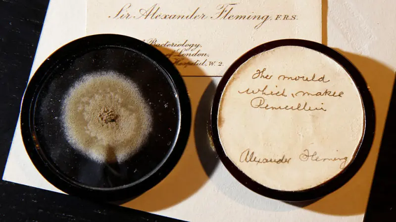 Subastan por $15.000 la muestra de moho de Alexander Fleming