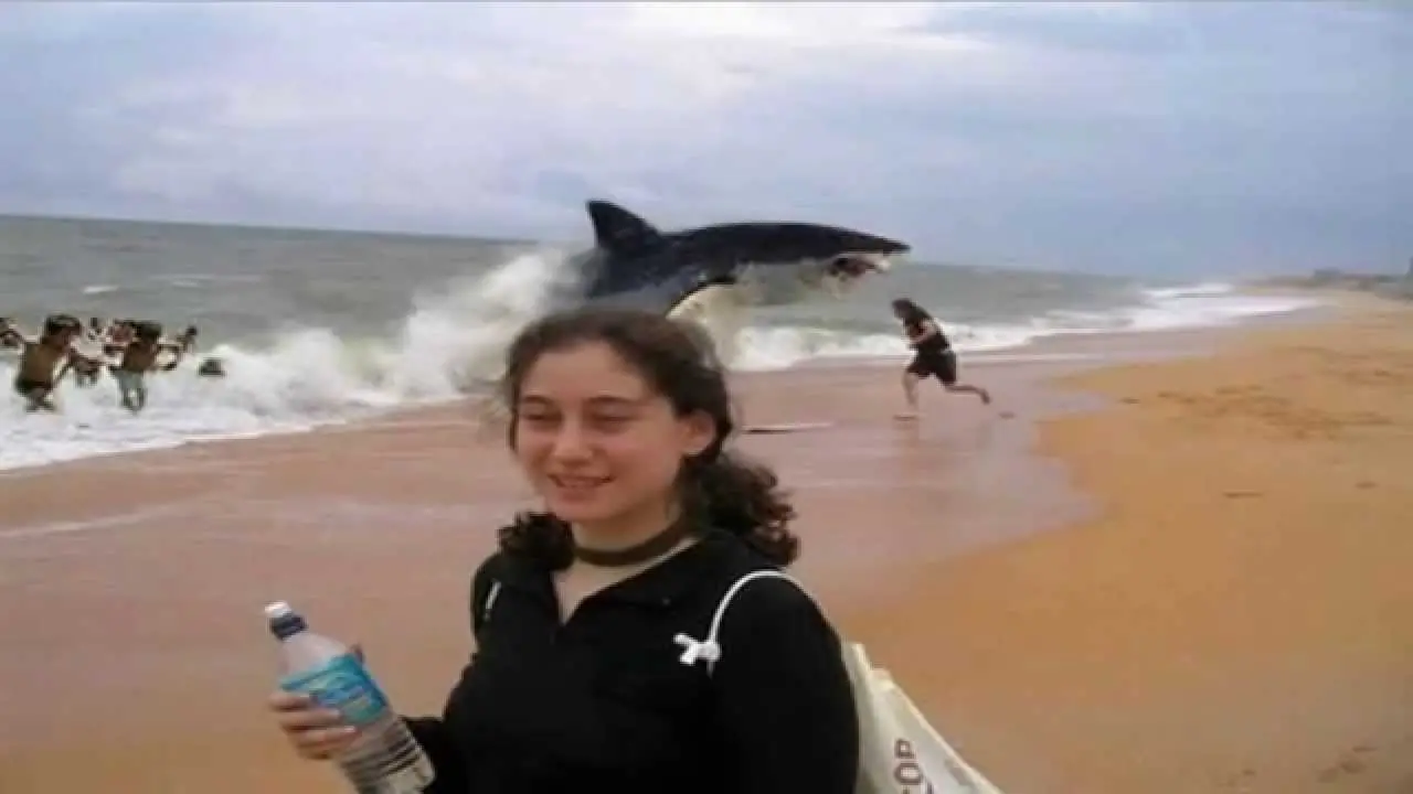 Que sabemos acerca de los tiburones?