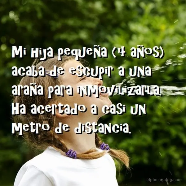 respuestas respuestas