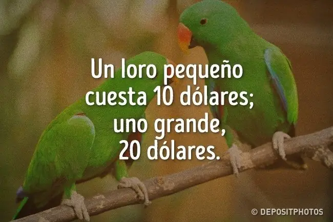 humor