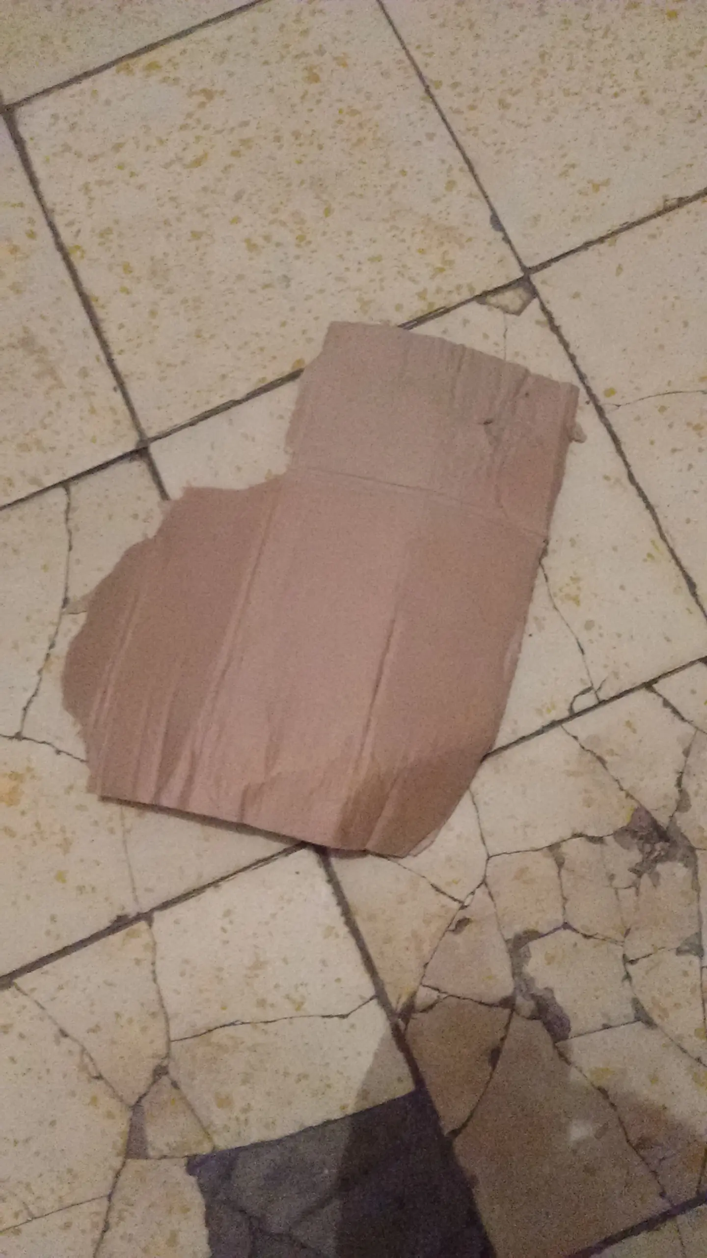 como reparar tu virgo puerta version top crap.