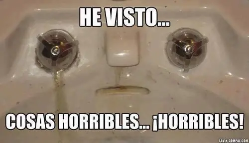 alegre