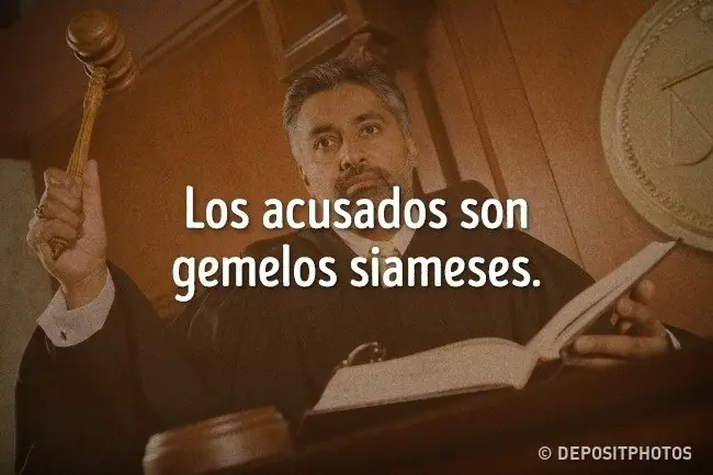 inteligente