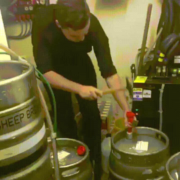 12 Gifs que la rompieron +10 si te da risa #21
