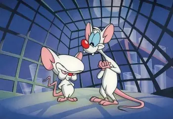 10 datos de Pinky y Cerebro que quizás no sabías