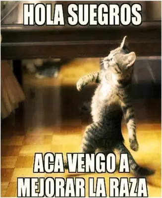 gracioso