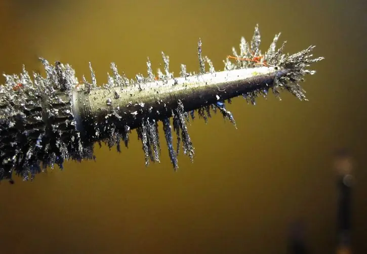 magnetismo