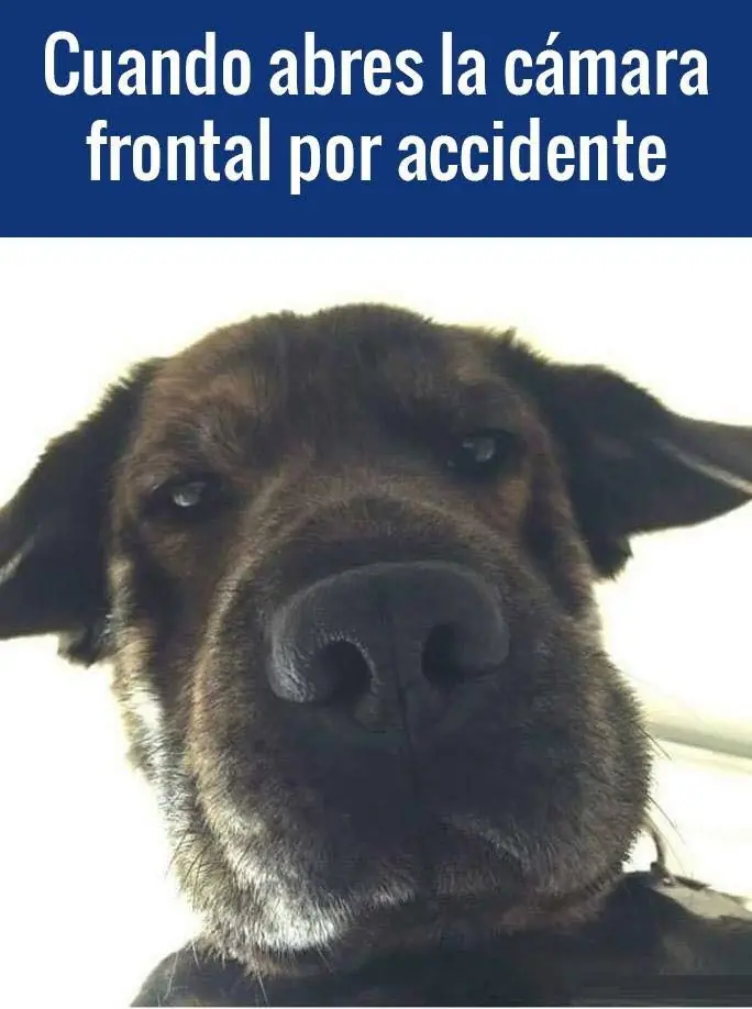 imagenes