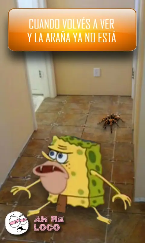 spongegar