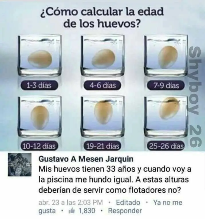 humor