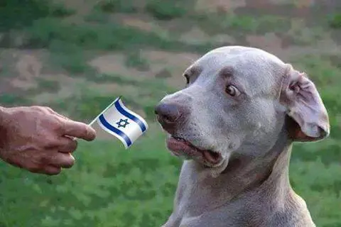 Nüremberg: Como fueron los jucios a los Nazis