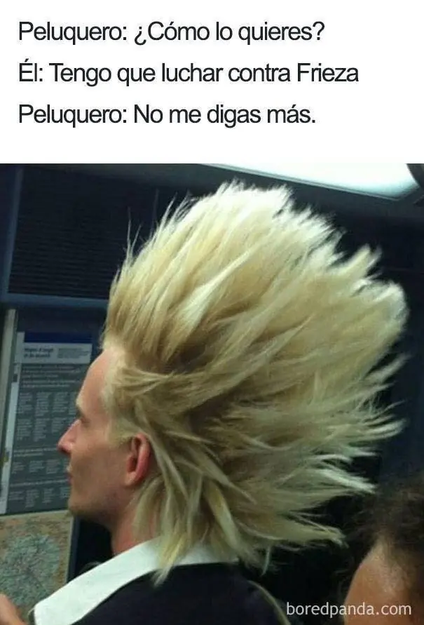 Cuando el peluquero realmente sabe lo que quieres...