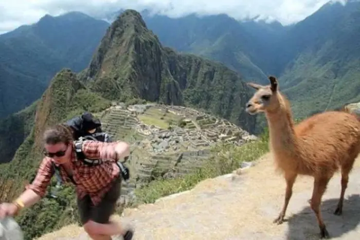 quetenes