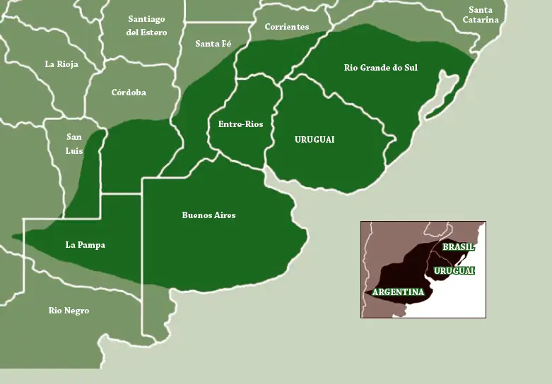 La belleza de los Pampas en sur de Brasil