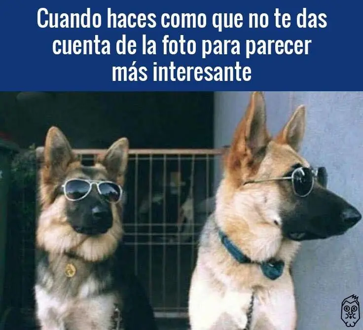 pero