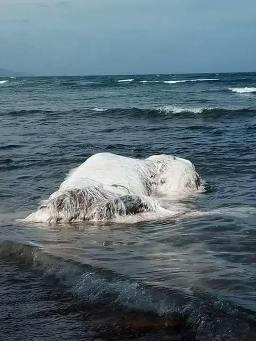 playas