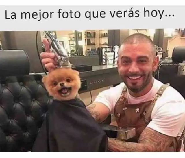 imagenes