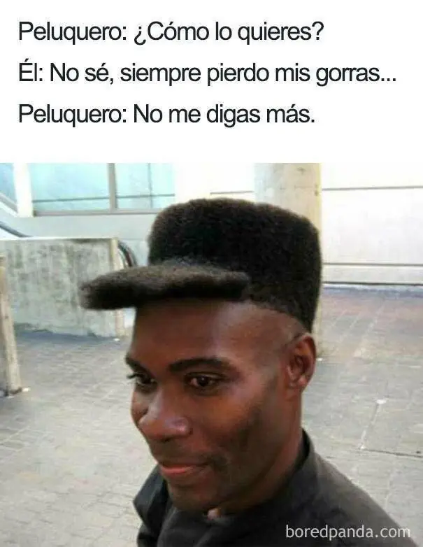 modelos