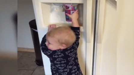 12 GIFs que la rompieron +10 si te da risa #22