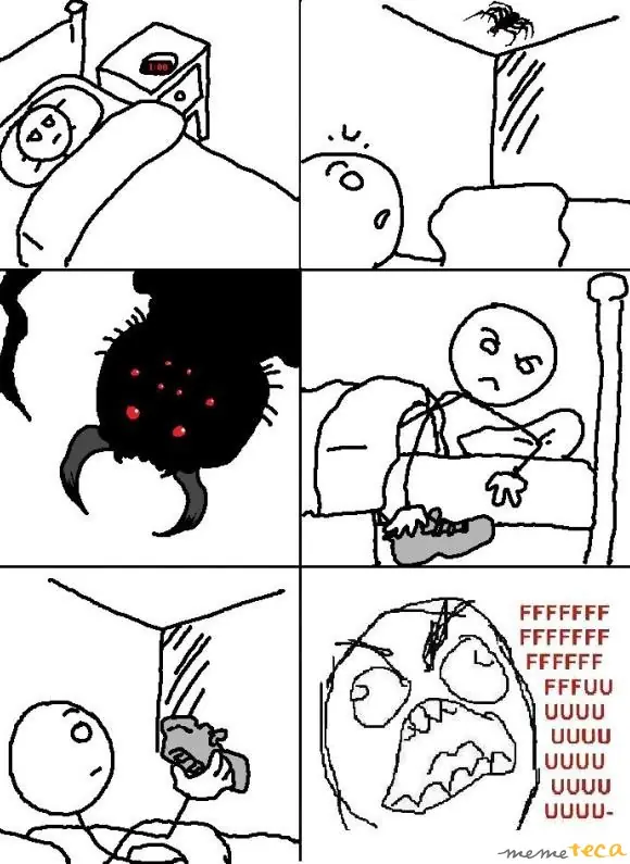 Mi miedo a las Arañas, no tengas miedo