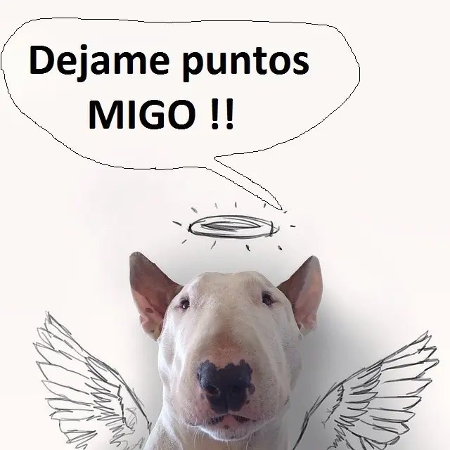 Videoguia para reconocer fenómenos paranormales