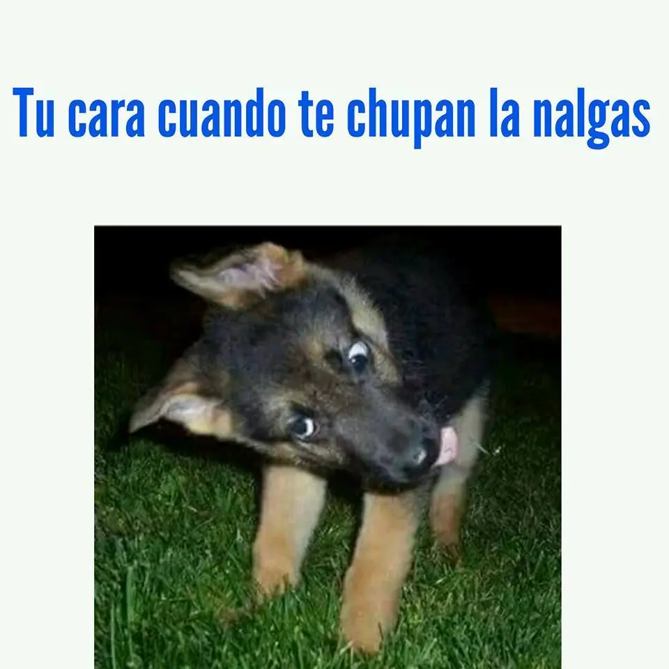 mexican memes