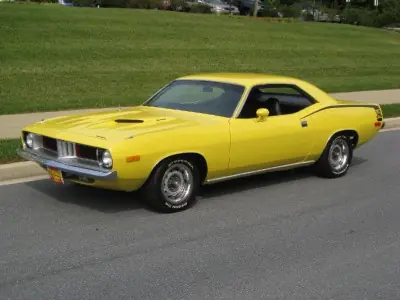 mustang mustang