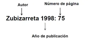 referencia bibliografica sistema funcional referencia bibliografica sistema funcional