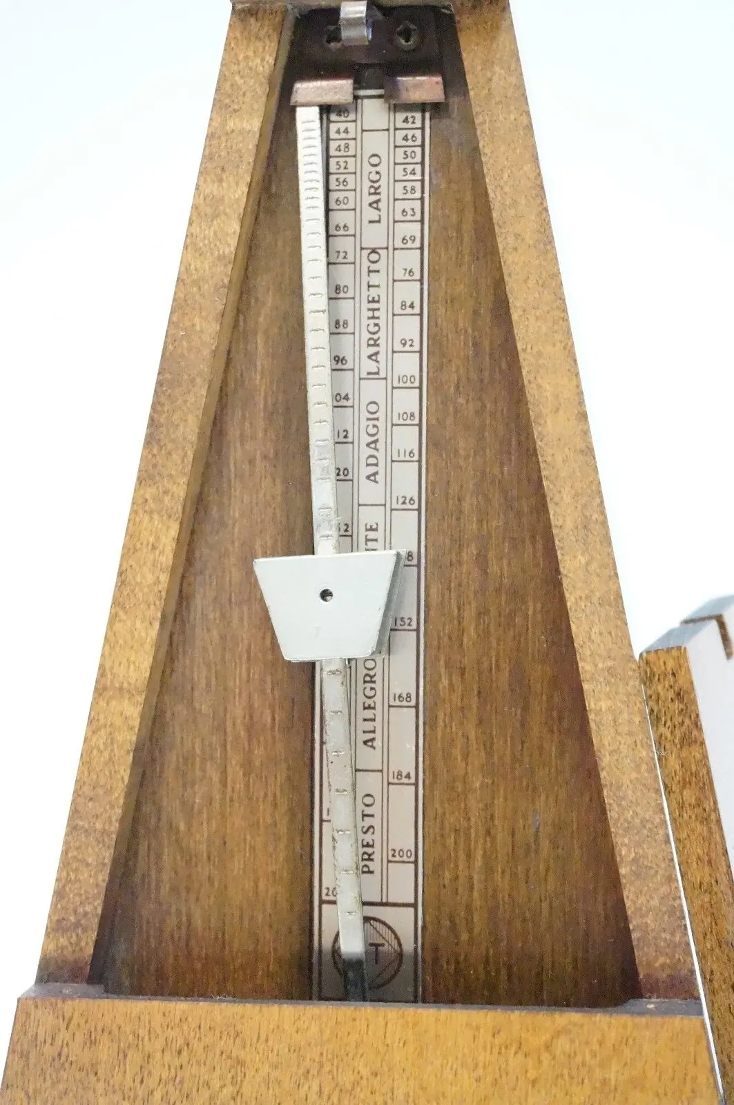 soyardillita