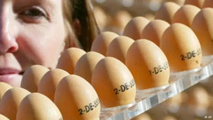 El Código Europeo de los Huevos.