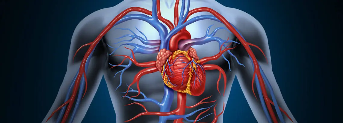 Colocan nuevos implantes cardíacos que no necesitan sutura