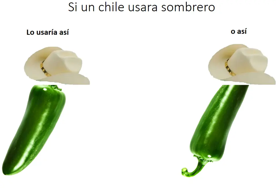 memes