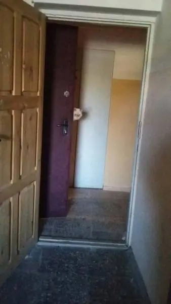imagenes divertidas