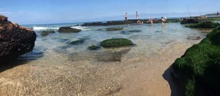 Mardelplata