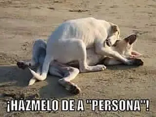23 Imágenes que te harán gritar: “tengan tantita madre”