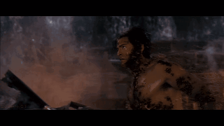 wolverine wolverine