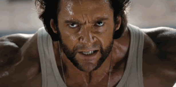 logan logan